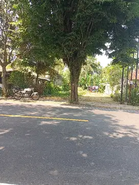 Dijual tanah pinggir jalan utama denpasar-gilimanuk