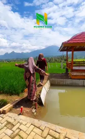 Dijual Cepat Tanah Kavling Sawah Produktif Estetik di Bogor