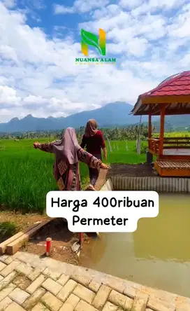 Jual cepat Tanah Kavling kebun sawah cuma 400ribuan Permeter dibogor