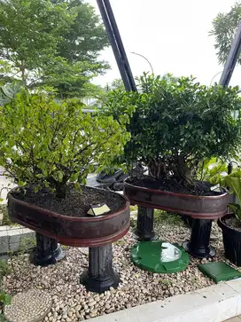 Di jual pot bunga
