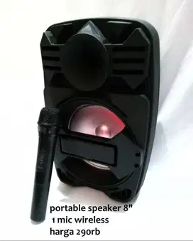 PORTABLE 8INCHI +1 MIC WIRELESS harga 290rb  stock terbatas