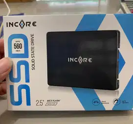 Ssd Incore 256gb