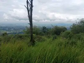 Tanah bagus rata view lepas ke gunung+kota untuk villa+wisata
