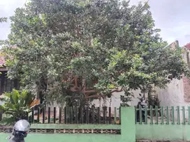 Rumah 10 Mnt ke STASIUN BOGOR SHM LT 205 Bisa Nego J-29091