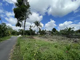 Lahan Asri Dekat Wisata Jogja, Cocok untuk Hunian atau Villa