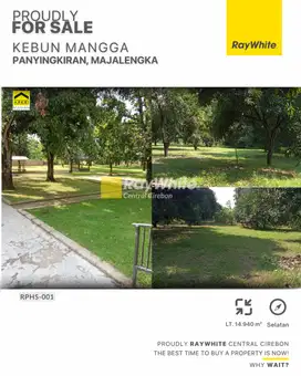 Dijual Kebun Mangga di Panyingkiran, Majalengka