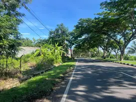 Tanah murah pinggir jalan raya bypass bandara internasional Lombok