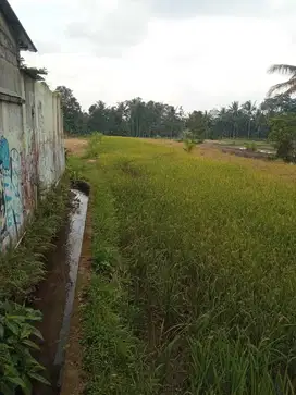 Dijual tanah 5menit dari Pusat Pemda Sleman. Dijalur utama TURI