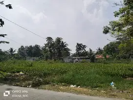 Dijual Tanah Lokasi strategis jalan raya Tambelang Bekasi