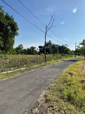 tanah di bawah pasar jangkang