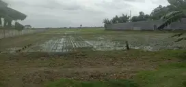 dijual tanah sawah zonah kuning samping kan kiri bayak perumahan