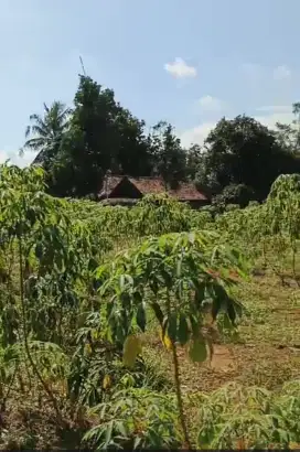 Di jual lhan tanah darat lt 2000 mtr lokasi masuk mobil sudah ramai