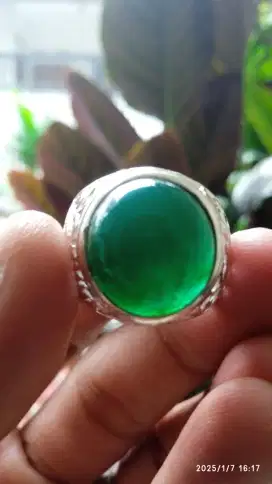 BACAN DOKO LAWAS NATURAL SERAT HALUS