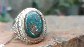 Pirus Persia Biru