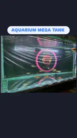 aquarium Mega Tank