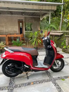 Scoopy Stylish 2019