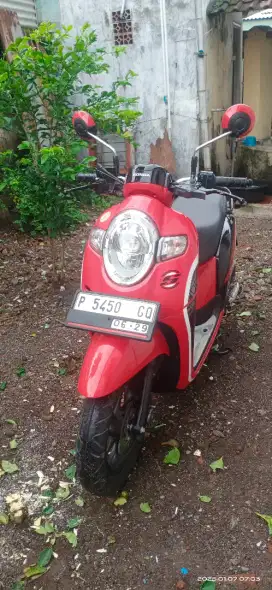 Honda scoopy thn 2019