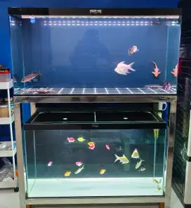 Aquarium dan ikan fullset