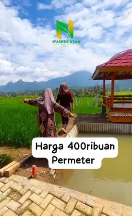 Jual cepat Tanah Kavling kebun sawah cuma 400ribuan Permeter dibogor