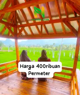 Jual cepat Tanah Kavling kebun sawah cuma 400ribuan Permeter dibogor