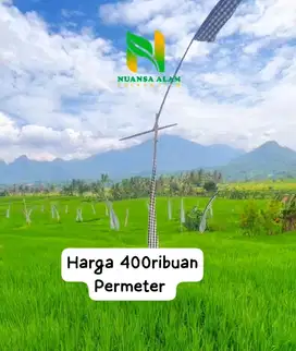 Jual cepat Tanah Kavling kebun sawah cuma 400ribuan Permeter dibogor