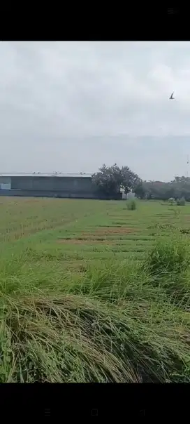 Tanah / lahan Mojokerto Jombang