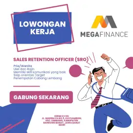 Sales & Marketing PT Mega Finance Lembang