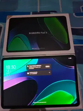 tablet xiomi pad 6