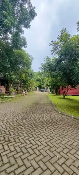 Di jual cepat tanah atau lahan di bogor