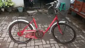 Sepeda keranjang phoenix siap gowes