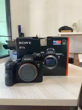 Sony Alpha 7iii / Sony A7iii