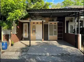 Rumah Dikontrakkan di Pedurungan