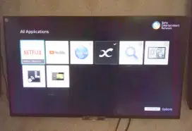 Sony Bravia 42inch