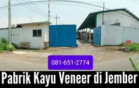 Pabrik Kayu di Jember