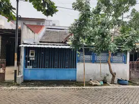 Semarang indah Siap pakai