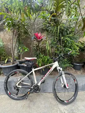 Sepeda Cannondale Trail SL 1