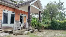 Rumah Villa Di pinggiran kota Pandeglang 584 M2 suasana asri sejuk