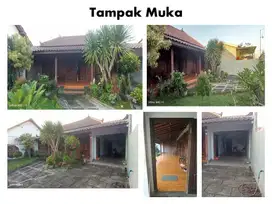 DIJUAL RUMAH JOGLO DI TULUNGAGUNG COCOK UNTUK RUMAH PENSIUN