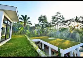 di jual villa tegallalang ubud