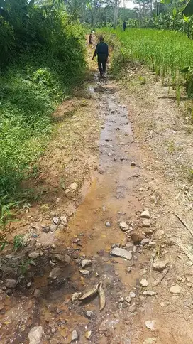 Tanah Dijual di Pandeglang Banten Munjul 1.3 Ha Cocok untuk palawija