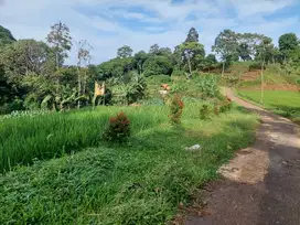 Tanah sawah subur pinggir jln 66 tumbak, SHM,