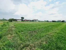 Tanah Sawah 1.805m² Dekat Exit Tol Ngasem Colomadu KRA