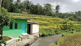 Jual Sawah Nempel Sungai Di Kawasan Vil