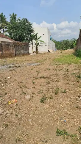 DIJUAL TANAH MURAH LOKASI KARET DEKAT AKMIL VIEW PERSAWAHAN DAN GUNUNG