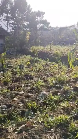 TANAH KEBUN COCOK UNTUK INVESTASI KOTA BATU