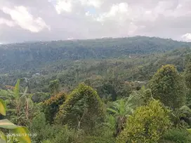 Tanah View Gunung dan Lembah di Munduk Singaraja Bali