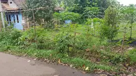 Kebun Duren Dijual Di Warunggunung Selaraja 1000 m2 15 duren Montong