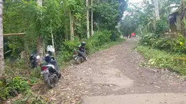 Dijual Tanah kebun durian 2380 M2 di Majasari Pandeglang