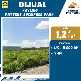 DIJUAL KAVLING TANAH DI PATTENE BUSINESS PARK UKURAN 5000 METER