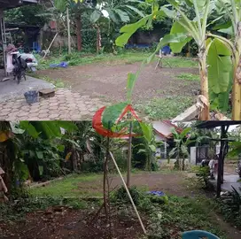 dijual tanah di kranggan cibubur